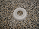 Picutre of Bottle cap 70mm drilled for pump 4-10