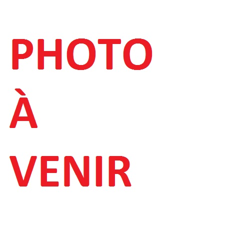 Photo de Acide citrique pt